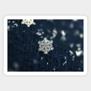 Snowflake Sticker